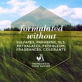 thumbnail image 3 of Burt's Bees Deodorizing Shampoo with Apple and Rosemary for Dogs 16 oz, 3 of 5
