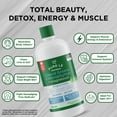 thumbnail image 2 of Pure-lē Natural Liquid Greens + Magnesium Bisglycinate (Unflavoured), 2 of 19