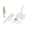 thumbnail image 3 of serony 15cm Figures Body Set with Drawing Joints Figures Body Action Figure Figure Display Stand Figure Action Holder for Bedroom Decor Female Apricot, 3 of 9