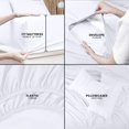 thumbnail image 4 of Utopia Bedding Ensemble de Draps pour Lit Très Grand - Lot de 2 Ensembles de Draps - Parfait pour Spa, Hôtel et Chambre d'Amis - Microfibre Brossée - Résistant au Rétrécissement et à la Décoloration - Facile, 4 of 7