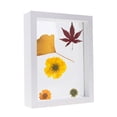 thumbnail image 1 of Cadre d'Échantillons de Fleurs et Feuilles Séchées Cadre en Bois avec Vraies, 1 of 7