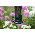 thumbnail image 3 of Brome Squirrel Buster Legacy Wild Bird Feeder, 3 of 4