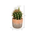 thumbnail image 3 of Vickerman FH192109 9 in. Green Potted Cactus Plastic Planter Pot, 3 of 3