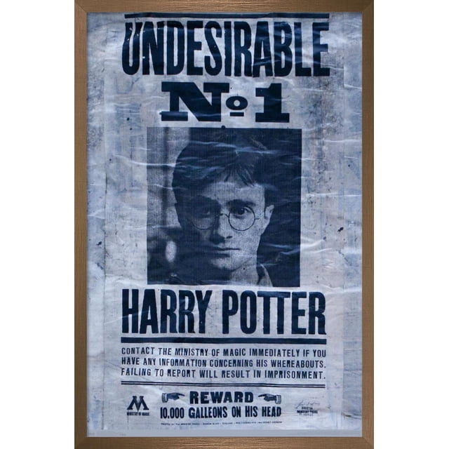 The Wizarding World: Harry Potter - Undesirable Wall Poster, 22.375" x 34" featuring a vintage-style wanted poster with bold black text 'UNDESIRABLE No. 1 HARRY POTTER' and a 10,000 Galleons reward from the Ministry of Magic, printed on glossy paper with a wood frame, suitable for themed room decor or party use.