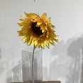 thumbnail image 2 of 24" TOUNESOL, 2 of 3