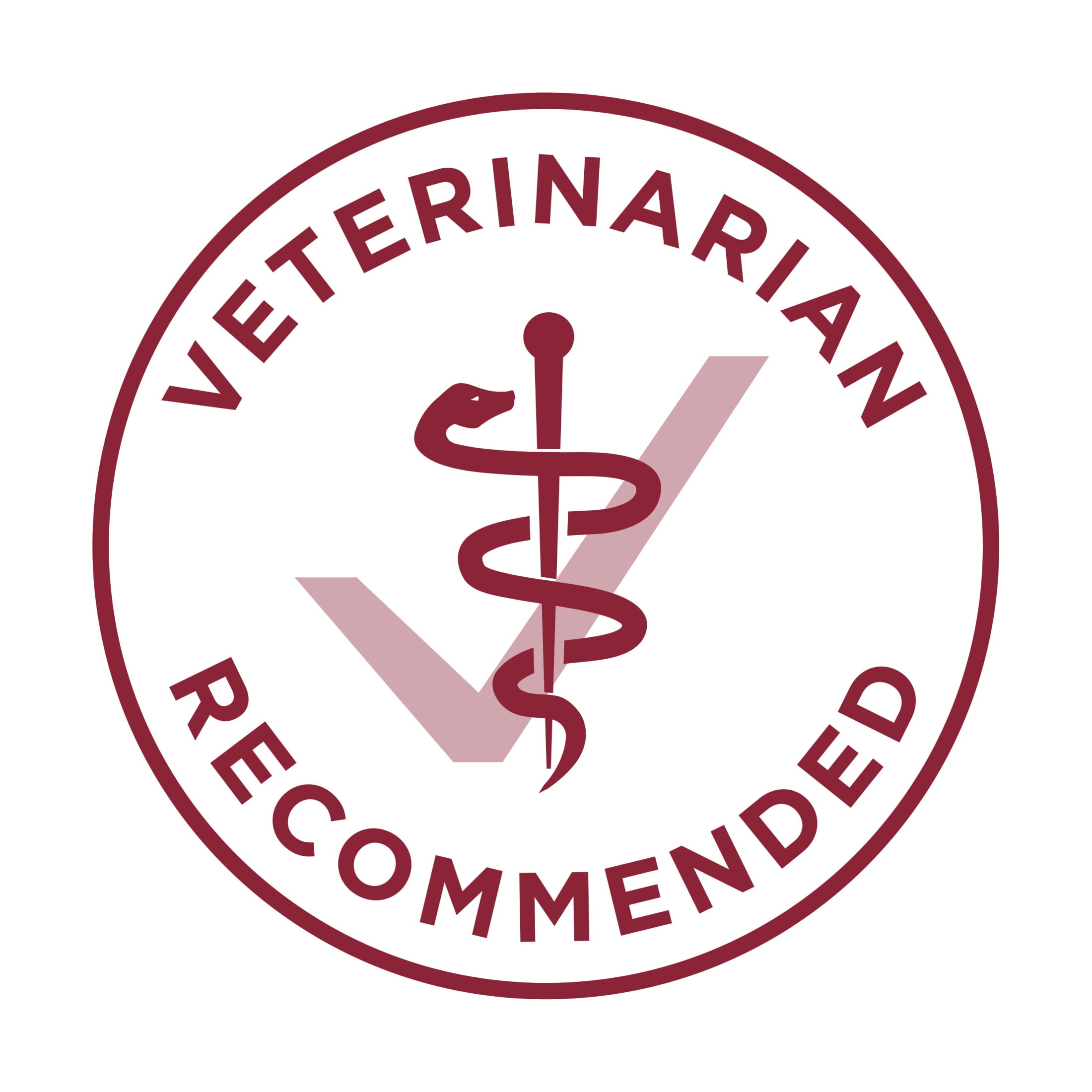 Purina ONE Équilibre du Microbiome Formule au Bœuf & au Riz, Nourriture Sèche pour Chiens 1.72kg