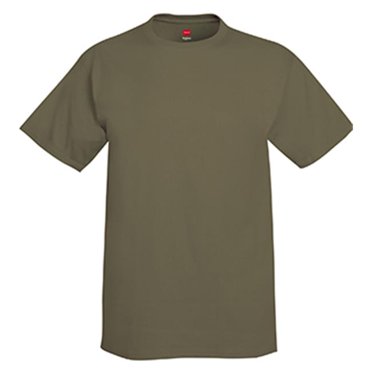 Hanes 5250 Adult Tagless Tee Fatigue Green - Large