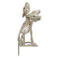 thumbnail image 5 of 3-Headed animated Skeleton Wolf decoration,Halloween Decor,by way to celebrate, 5 of 5