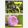thumbnail image 2 of fastboy Close-up Filter Kit +1 +2 +4 +10 Lens Set for Digital Cameras 67mm, 2 of 9