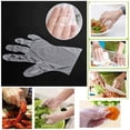 thumbnail image 4 of Disposable Plastic Gloves 500 PCS, Kitchen Food Grade Gloves, 4 of 4
