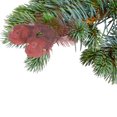 thumbnail image 2 of Set Of 2 Glitter Cardinal Clip (Red) - Set of 6, 2 of 4