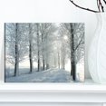 thumbnail image 2 of Designart Winter Trees Backlit by Morning Sun Canvas Wall Art, 2 of 3