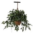 thumbnail image 1 of Panier Suspendu Lierre Anglais Plante en Soie, 1 of 1