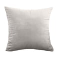 thumbnail image 2 of Dvruxg Velvet Throw Pillow Covers 16x16 Inch - Soft Square Decorative Cushion Cover for Couch, Sofa, 2 of 5
