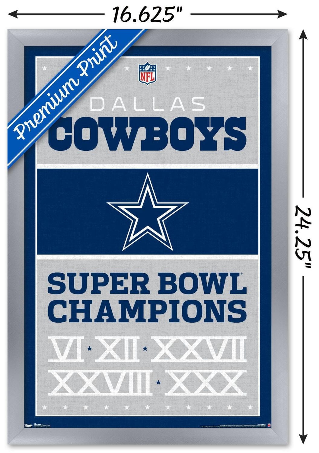 Cowboys de Dallas la NFL