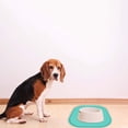 thumbnail image 4 of Placemat for Raised Edges Dog Feeding Mat Spill Proof Leak Keeps Floors Clean Guard Dining Pad for Dogs and, 4 of 5
