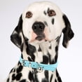 thumbnail image 5 of BKER Collier pour Animaux de Compagnie Couleur Bonbon Collier Minimaliste pour Chat et Chien avec (Couleur en Cuir Réglable), 5 of 5