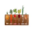 thumbnail image 1 of XFGOU Puzzle games Toys and Hobbies Home Learning Preschool Early Educational Development Colorful Fruit And Vegetables Wooden Puzzle Bundle Shape Toys And Games For Children Boys Girls Education, 1 of 6