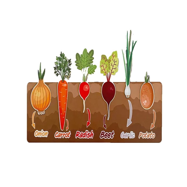 XFGOU Puzzle games Toys and Hobbies Home Learning Preschool Early Educational Development Colorful Fruit And Vegetables Wooden Puzzle Bundle Shape Toys And Games For Children Boys Girls Education