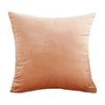 thumbnail image 2 of Dvruxg Velvet Throw Pillow Covers 16x16 Inch - Soft Square Decorative Cushion Cover for Couch, Sofa, 2 of 5