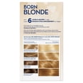 thumbnail image 4 of Clairol Nice'n Easy Born Blonde Blonding Kit, 4 of 6