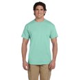 thumbnail image 1 of Hanes Unisex 50/50 T-Shirt, 1 of 2