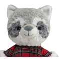 thumbnail image 4 of PLUSH RACCOON - FRENCH, 4 of 4