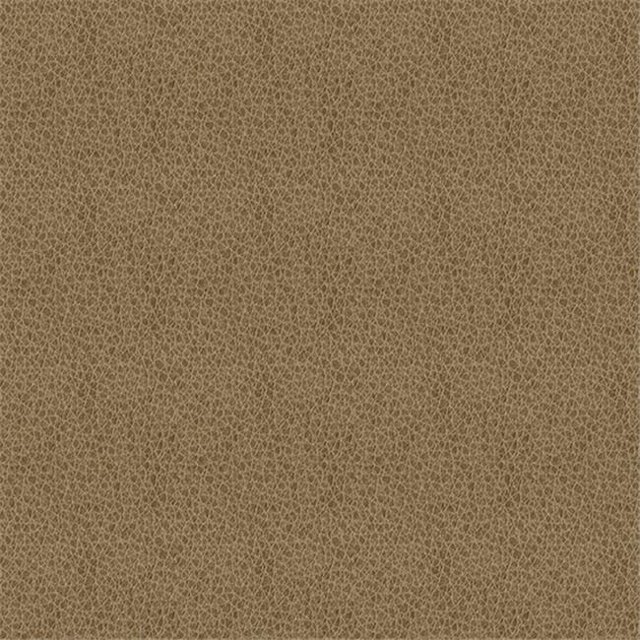 Tissu en Cuir d'Ingénierie 606, Beige