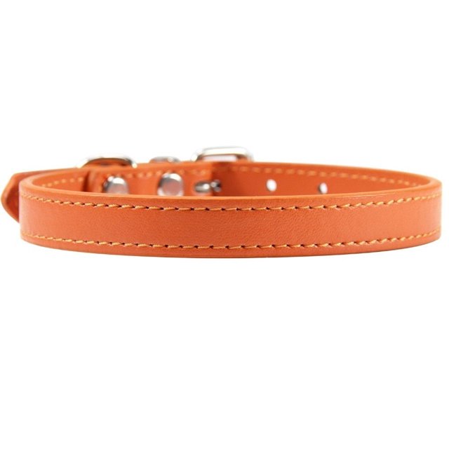 Collier pour Chat en Cuir Personnalisé