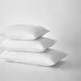 thumbnail image 4 of Bouclair Oreiller de Base Blanc de Base Grand Lit, 4 of 4