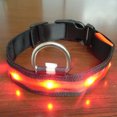 thumbnail image 4 of Collier Lumineux Réglable pour Animaux de Compagnie Randonnée Nuit Portable Lavable Lumineux Marche Animal Éclairé Choker Colliers Lavables Portables Animaux de Compagnie Fournitures Cadeau Rouge L, 4 of 8