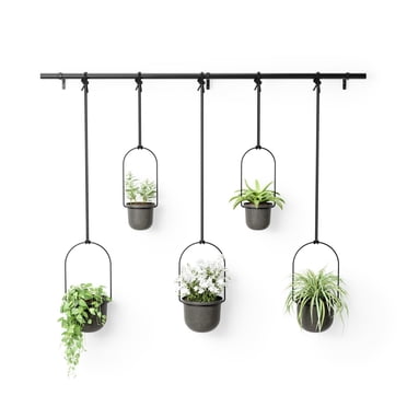 Umbra Triflora Hanging Planter, Set of 5