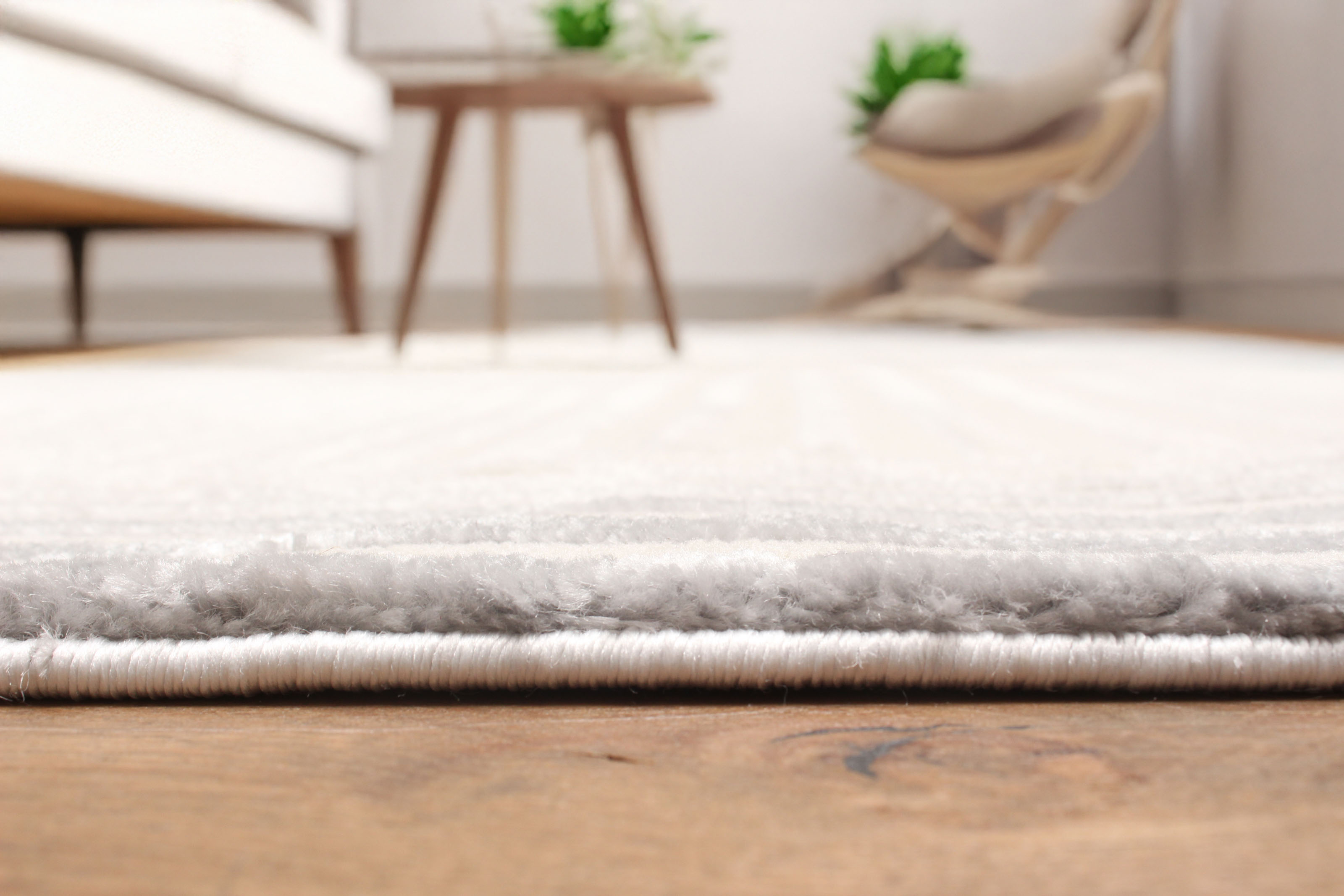 ECARPET Tapis Contemporain/Moderne Ramona pour Salon, Chambre, Salle A Manger, Entrée, Couloir et Plus Encore.