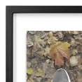 thumbnail image 4 of DesignOvation Gallery Float 11" x 14" Black Picture Frame, 4 of 5