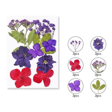 Amzcrzy A Bookmark Colorful Natural Dried Flowers and Embossed Decorative Set Home Decor Room Decor Home and Kitchen Dorm Room Essentials Dorm Decor