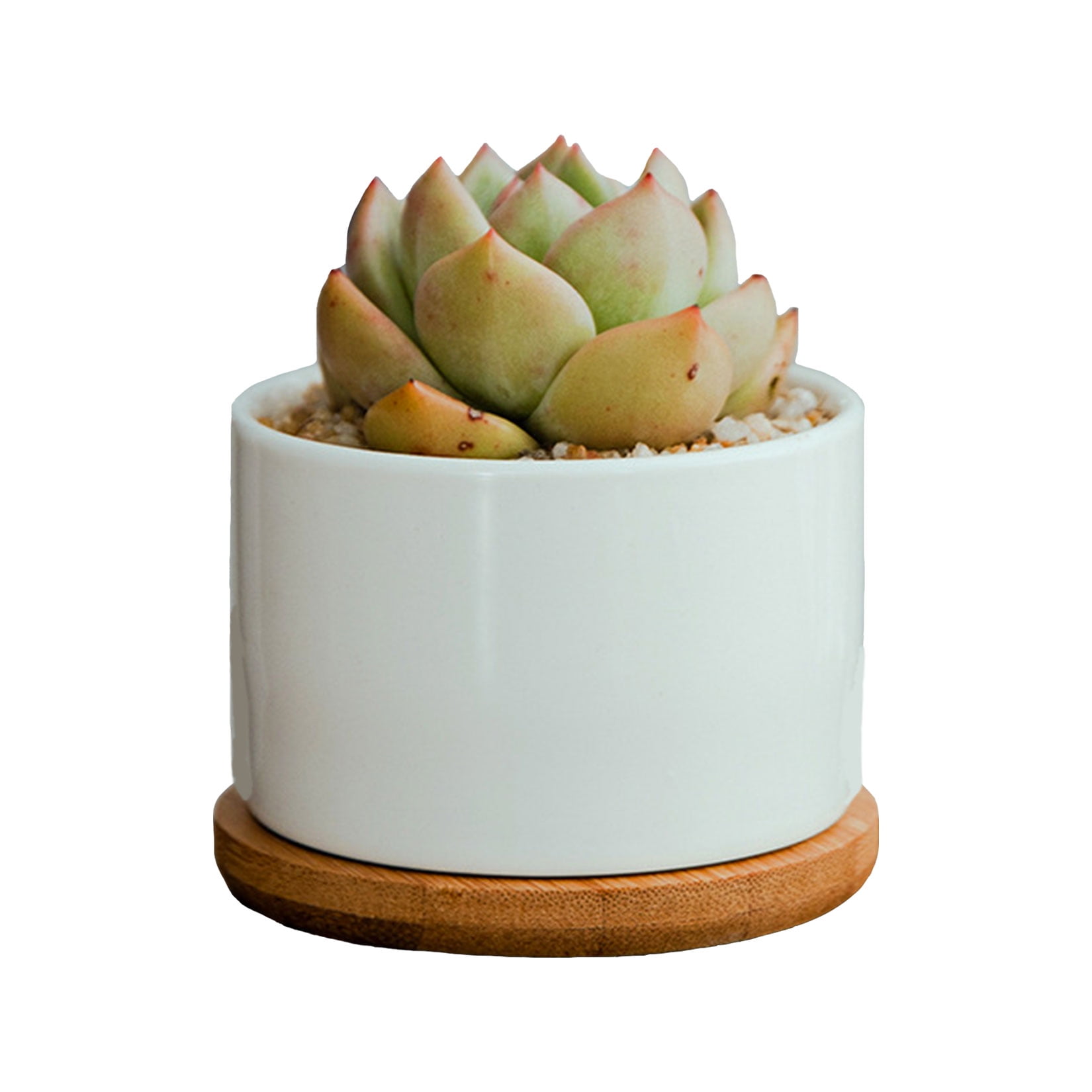 Small Cute Flower Pots Succulent Plant Holder Container - Ceramic Planters Plant Pots with Drainage Hole Pen Pencil Holders Cute Flower Planters with Pot Base for Indoor Outdoor Plants