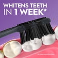 thumbnail image 3 of Oral-B Charcoal Toothbrush, Medium, 3 of 12