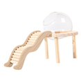 thumbnail image 3 of Milaget Glass Hamster House with Wooden Ladder for Chipmunk Guinea Pig Small Animals S, 3 of 9