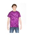 thumbnail image 1 of Dyenomite - Cyclone Pinwheel Tie-Dyed T-Shirt, 1 of 1