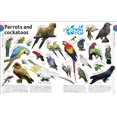 thumbnail image 4 of Animal Book, David Burnie Hardcover, 4 of 4