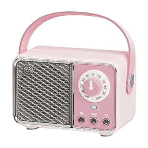 Portable Bluetooth Speaker Wireless 5 W 52 mm Driver 4.41 in x 2.62 in x 2.83 in 600 mAh Battery 10 m Range Type-C Charging