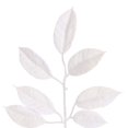 thumbnail image 4 of Vickerman FK221324 24 Po Gardenia Couronne Enneigée&44; Blanc, 4 of 5