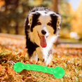 thumbnail image 4 of Xuanheng Dog Chew Toy Rubber Pet Molar Teeth Clean Training Interactive Toy Green 30cm L, 4 of 8