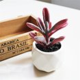 thumbnail image 3 of Coofit 4PCS Potted Plant Decorative Fake Plant Artificial Plant for Balcony Home Garden, 3 of 9