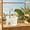 White#5286, variant on Automatic Circulating Water Bird Bath Tub, Plastic Green/White Bath Box for Parrots and Birds, Transparent Window, Filter Screen, Shallow Safe Design