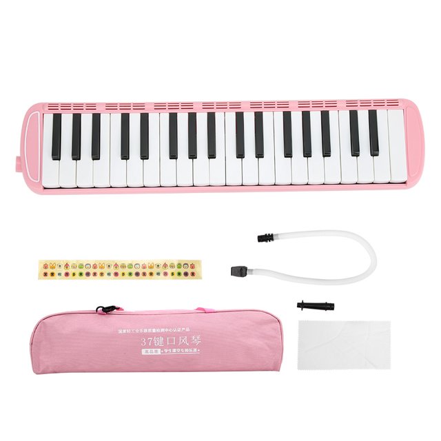AMONIDA 37 Key Melodica, Melodica Instrument, For Beginners Adult Learner Kids