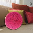 thumbnail image 4 of Coussin Rond en Forme de Tranche de Fruit, Coussin de Sol Rembourré en Éponge pour la Maison et le Confort en Camping, 4 of 4