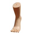 thumbnail image 1 of Mannequin Feet Model Jewelry Display Stand Sock Display for Shop Shoes Socks skin color left, 1 of 8