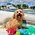 thumbnail image 4 of Clean Earth Plush Turtle Dog Toy - 100% Sustainable, 4 of 4