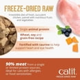 thumbnail image 4 of Catit Recipes Freeze Dried Raw Dry Cat Food Topper, Chicken 100g, 4 of 7